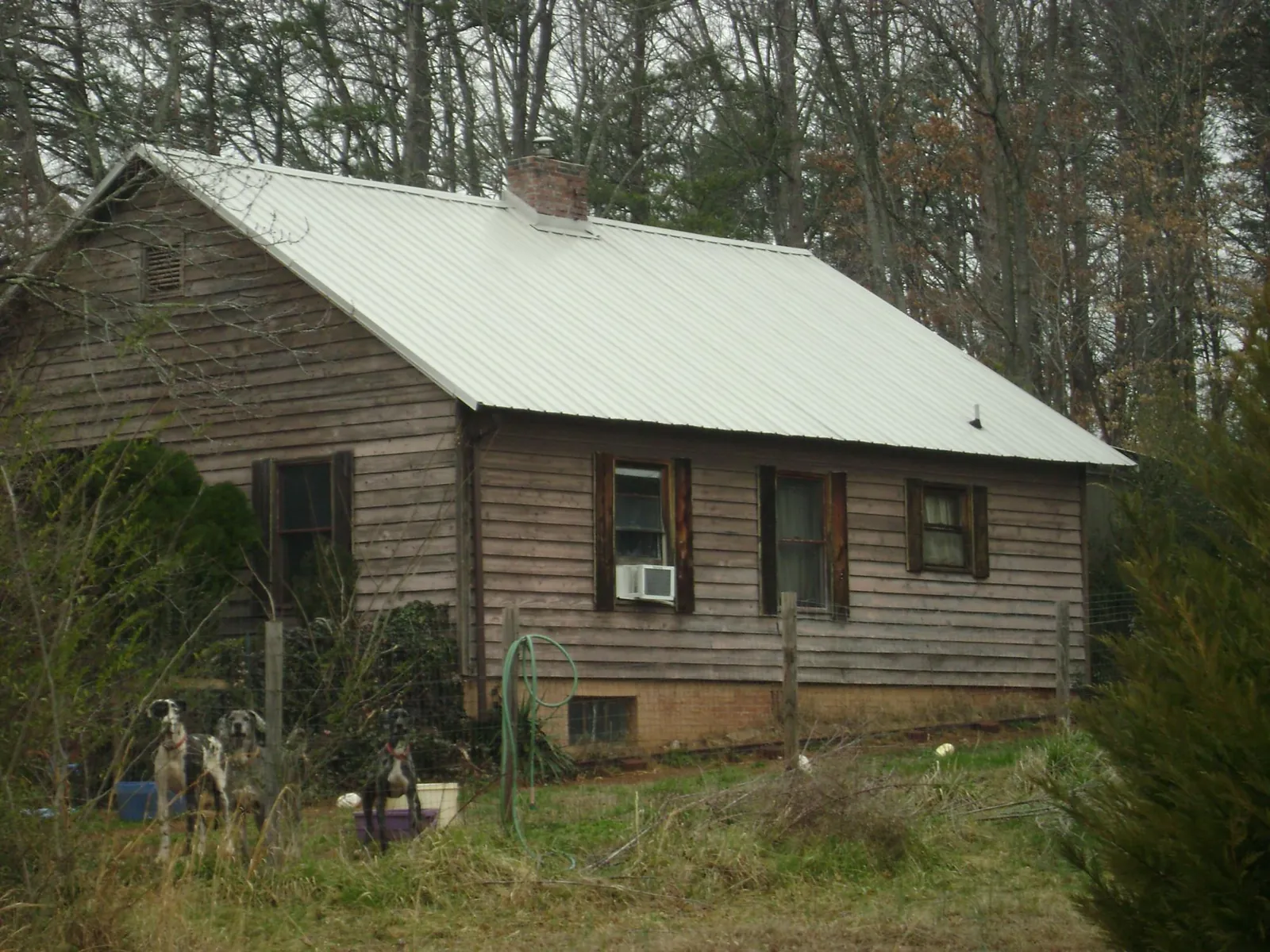 White metal roof on an old wood sided farmhouse, from a Asphalt Shingle Roof Repair job in Stittville